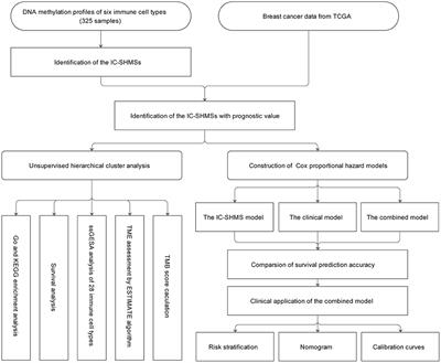 Role of Immune Cell-Specific Hypermethylation Signatures in Classification and Risk Stratification of Breast Cancer